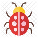 Scarabeo Insetto Insetto Icon