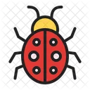 Scarabeo Insetto Insetto Icon