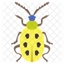 Scarabeo Giallo Insetto Scarabeo Icon