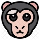 Scared Monkey  Icon