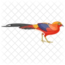 Scarlet Macaw Parrot Feather Creature Icon