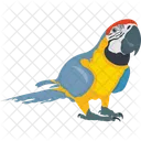 Feather Creature Macaw Parrot Icon