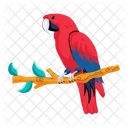 Scarlet Macaw Exotic Parrot Exotic Bird Symbol