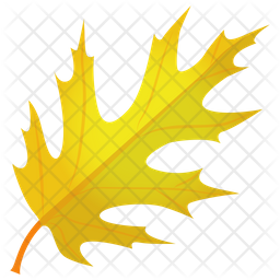 Scarlet Oak Icon