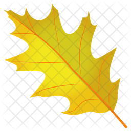 Scarlet Oak Icon
