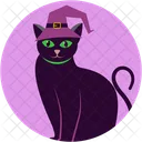 Scary Cat Scary Cat Icon