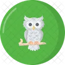 Scary Owl Icon