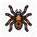 Scary Spider  Icon