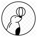  Icône