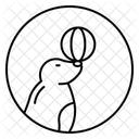  Icône