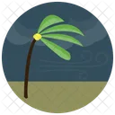 Palma Albero Meteo Icon