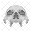 Schadel Halloween Gruselig Icon