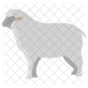 Schafe Tiere Wildtiere Symbol