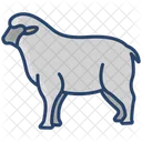 Schafe Tiere Wildtiere Symbol