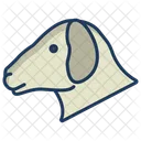 Schafe Tier Zoo Icon