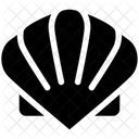 Schalentiere Muscheln Meer Symbol