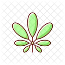 Schefflera Leaf Plant Icon