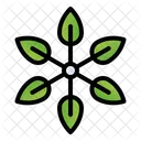 Schefflera Plant Tree Symbol
