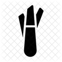 Schien  Symbol
