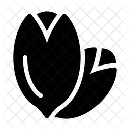 Schiene  Symbol