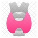 Schilddruse Mensch Organ Symbol