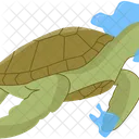 Schildkröte  Symbol