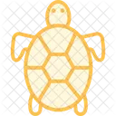Schildkrote Haustier Reptil Icon