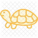 Schildkrote Haustier Reptil Icon