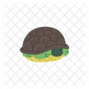 Schildkrote Minimalistisch Einfach Symbol