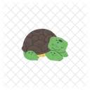 Schildkrote Ruhend Minimalistisch Symbol