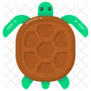 Angonoka Schildkrote Tier Symbol