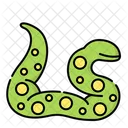 Schlange Reptil Viper Symbol