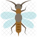 Schlangenfliege  Symbol