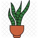 Bogenhanf Sansevieria Zimmerpflanze Symbol