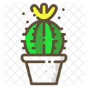 Schlosser Cactus Succulent Icon