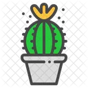 Schlosser Kaktus Sukkulente Symbol