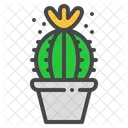 Schlosser Cactus Succulent Icon