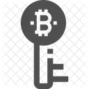 Schlussel Bitcoin Schlussel Schlussel Symbol