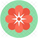 Schlusselblume Primel Dekoration Symbol