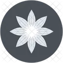 Schlusselblume Primel Dekoration Symbol