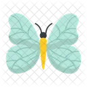 Schmetterling  Symbol