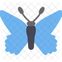 Schmetterling  Symbol