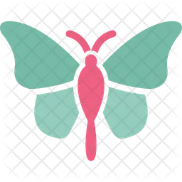 Schmetterling  Symbol