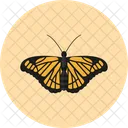 Schmetterling  Symbol