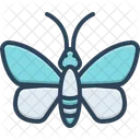 Schmetterling  Symbol