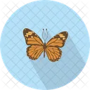 Schmetterling  Symbol