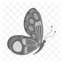 Schmetterling  Symbol