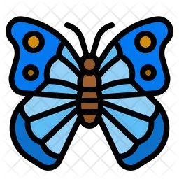 Schmetterling  Icon