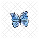 Schmetterling  Symbol