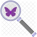 Schmetterling  Symbol